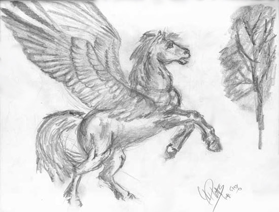 pegasus2